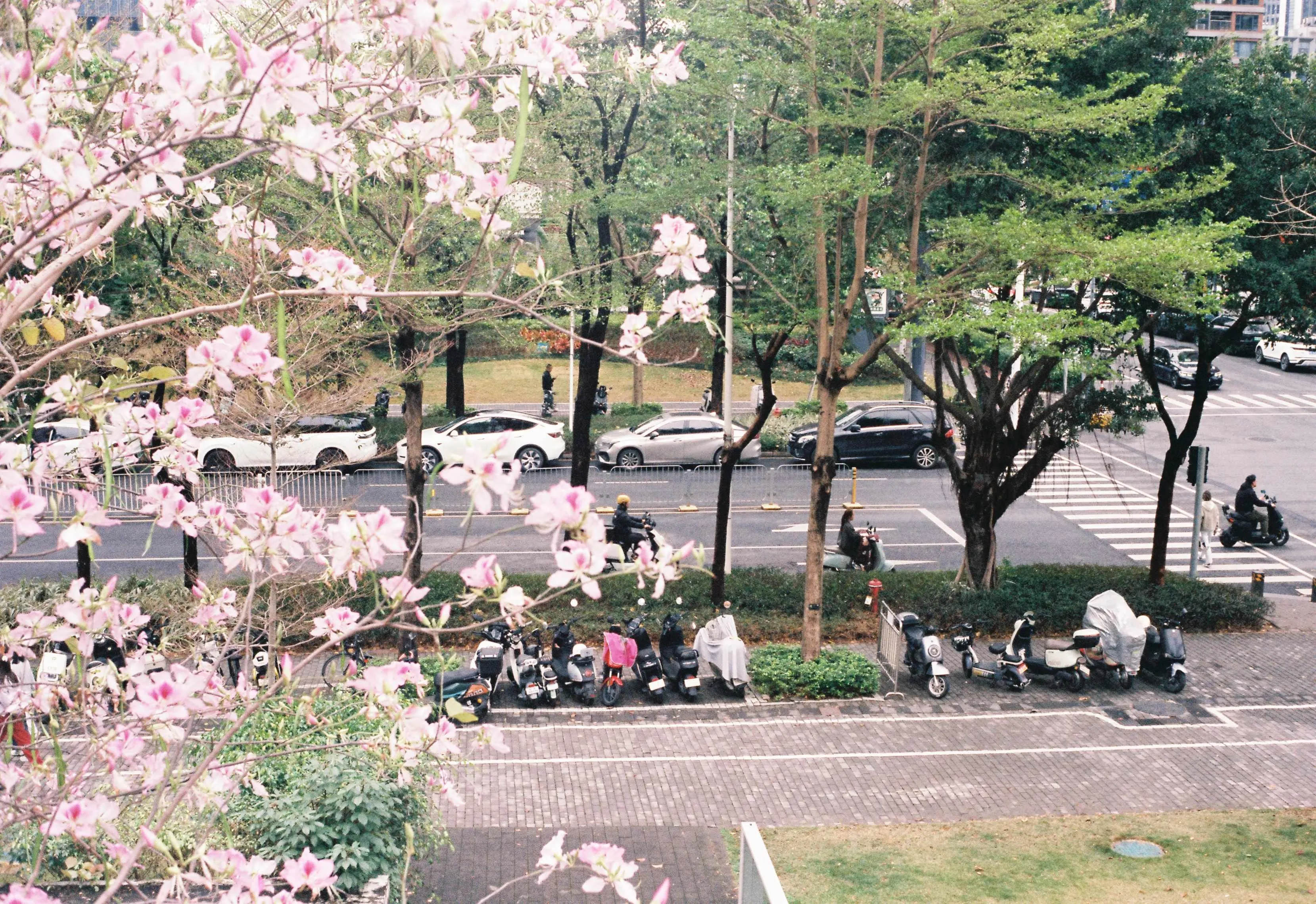 000063.jpg