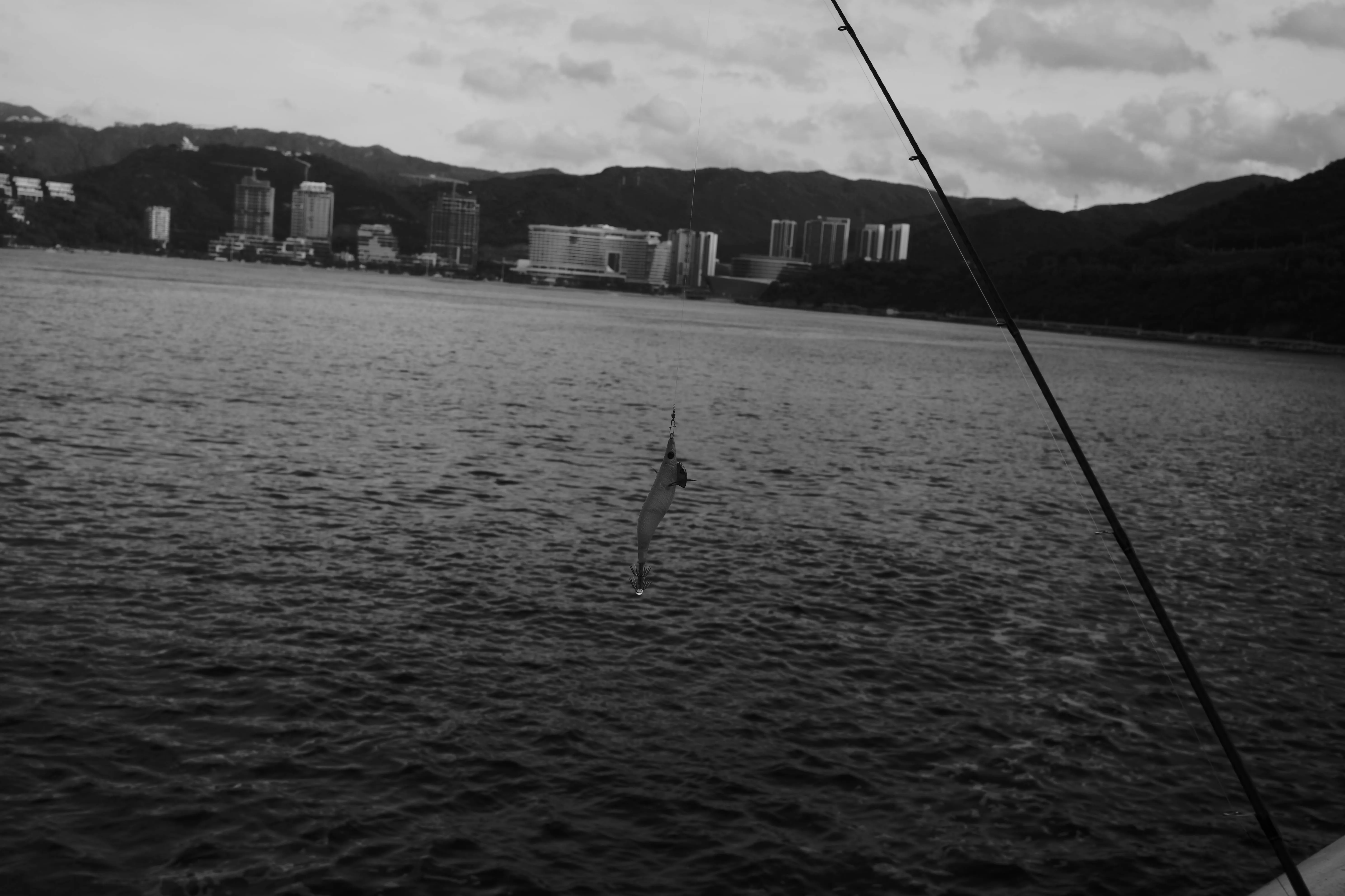 L0000559.jpg