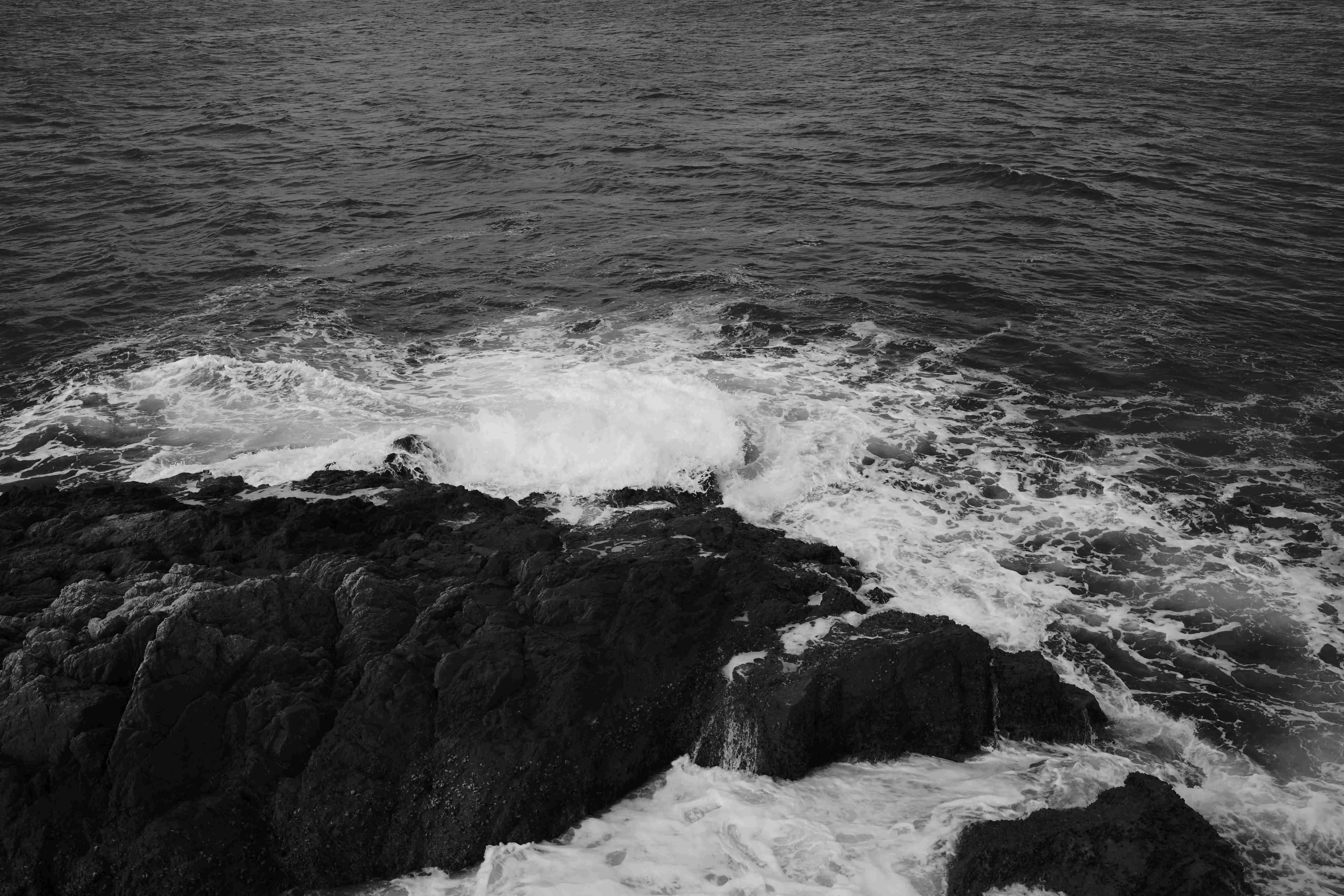 L0000564.jpg