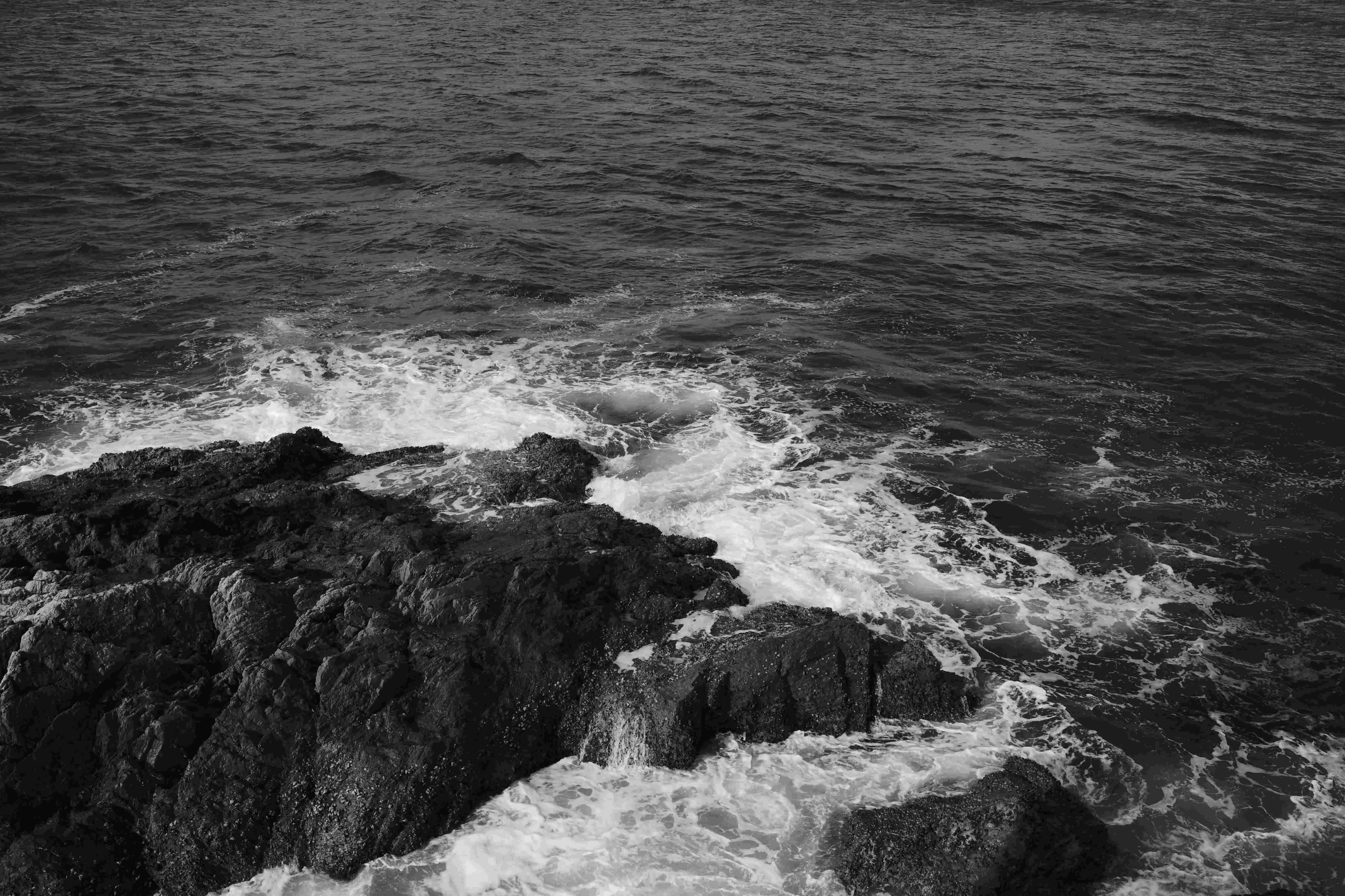 L0000566.jpg