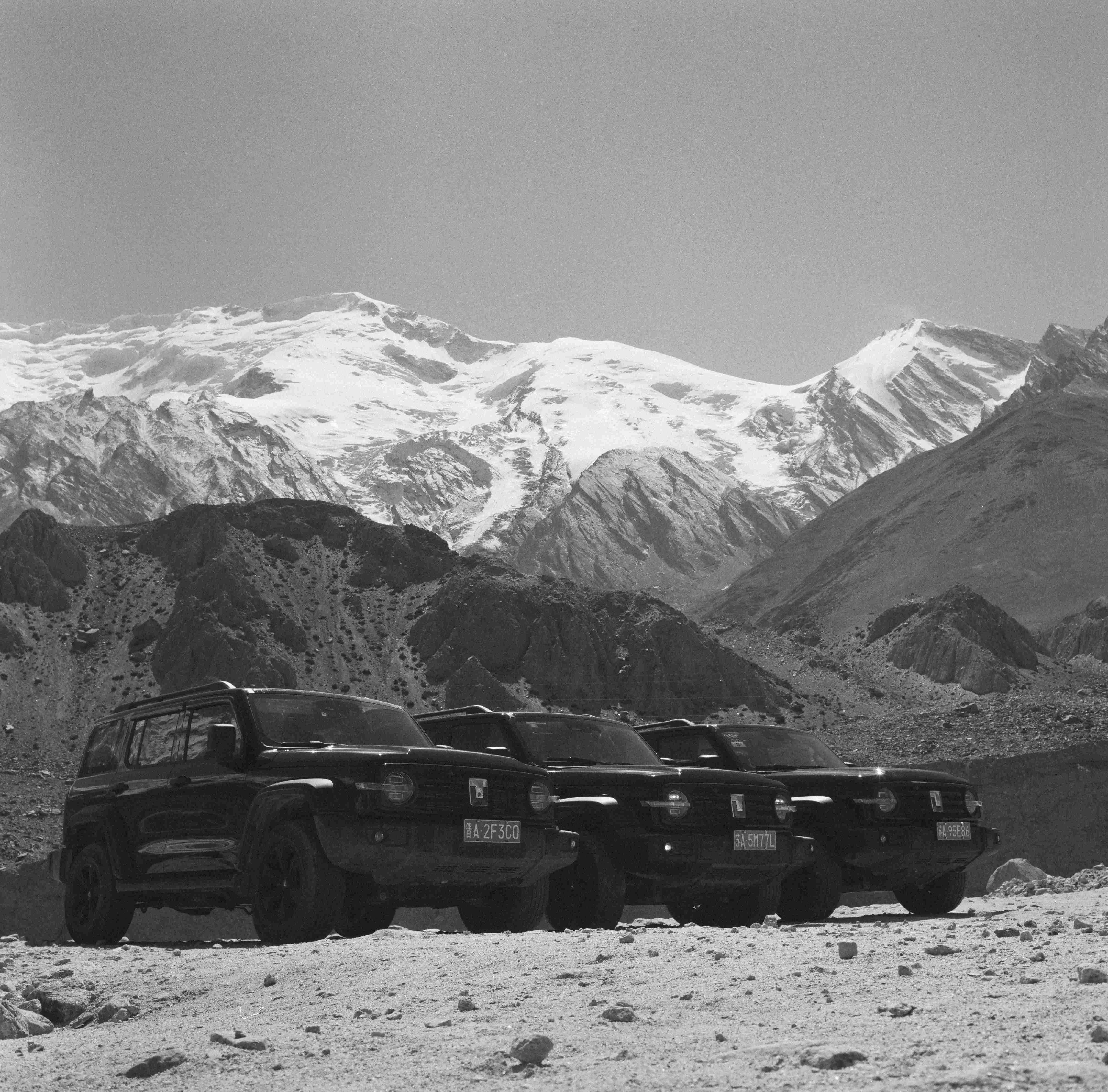 52180006.jpg