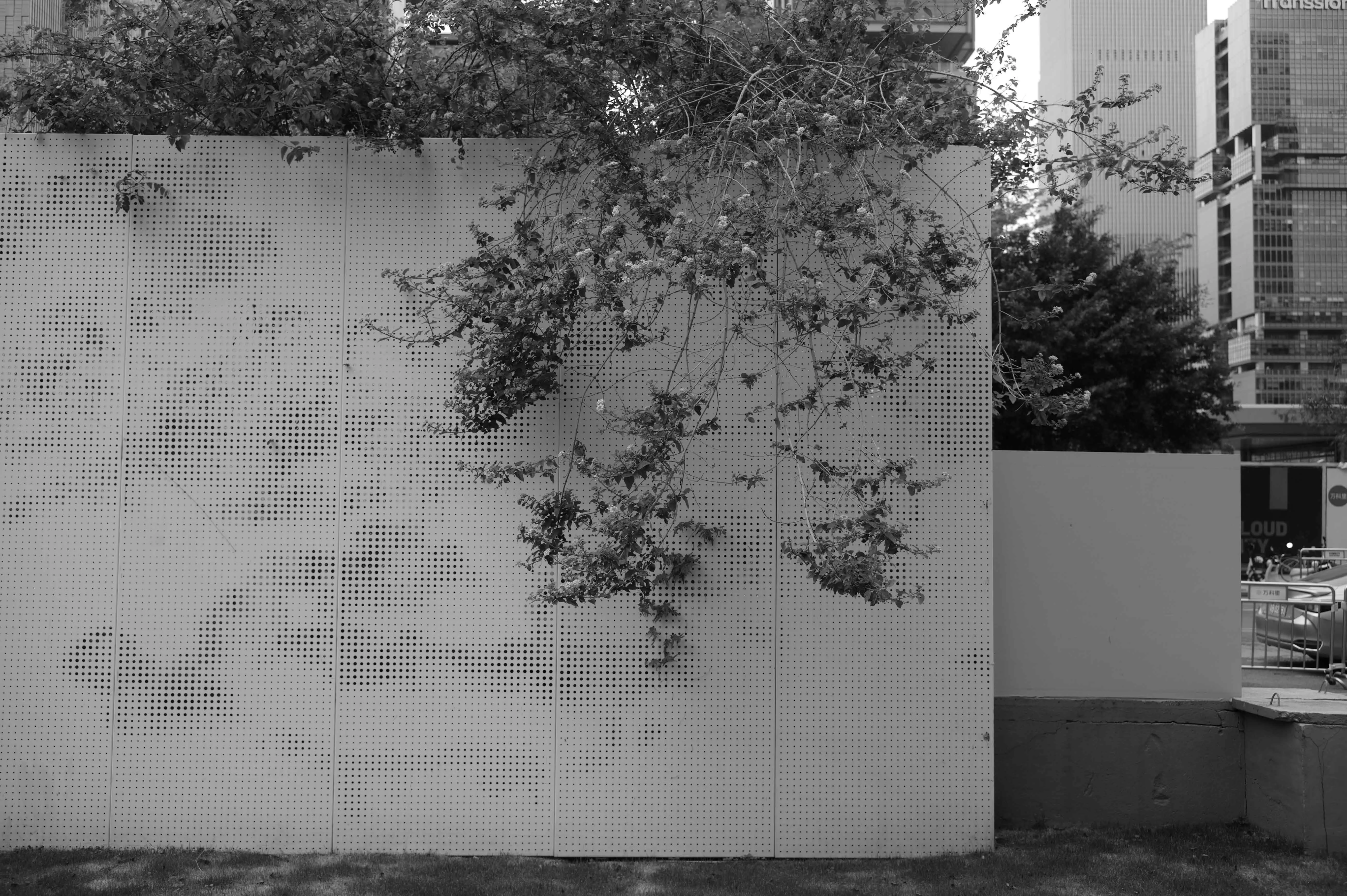 L1000018.jpg